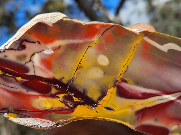 Polished Mookaite slab MK519