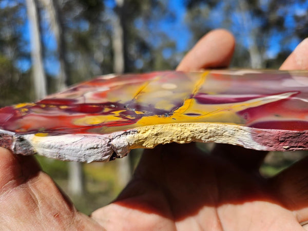 Polished Mookaite slab MK519