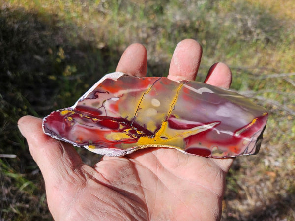 Polished Mookaite slab MK519