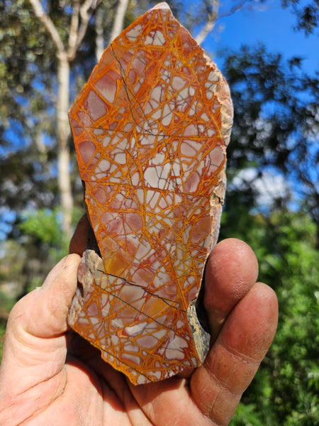 Polished Noreena Jasper slab. NJ474