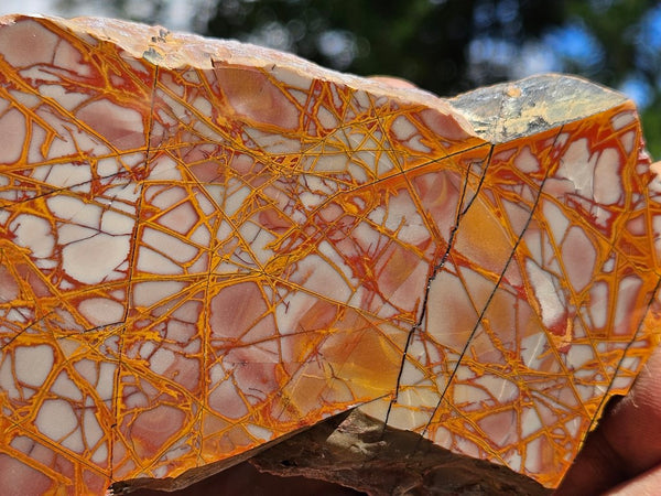 Polished Noreena Jasper slab. NJ474