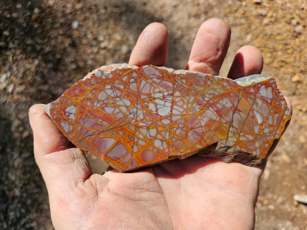 Polished Noreena Jasper slab. NJ474