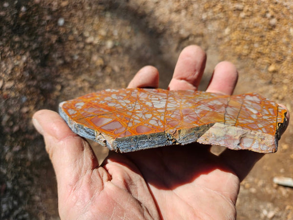 Polished Noreena Jasper slab. NJ474