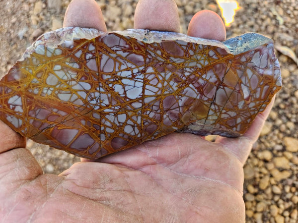 Polished Noreena Jasper slab. NJ474