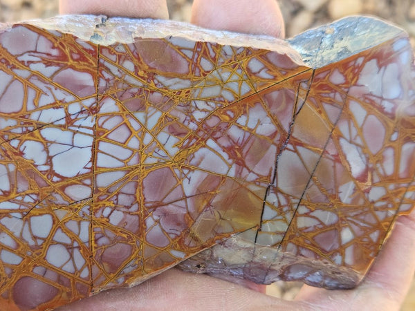 Polished Noreena Jasper slab. NJ474