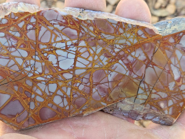 Polished Noreena Jasper slab. NJ474