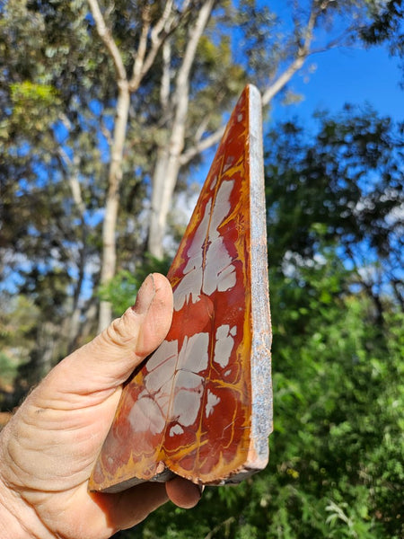 Polished Noreena Jasper slab. NJ473