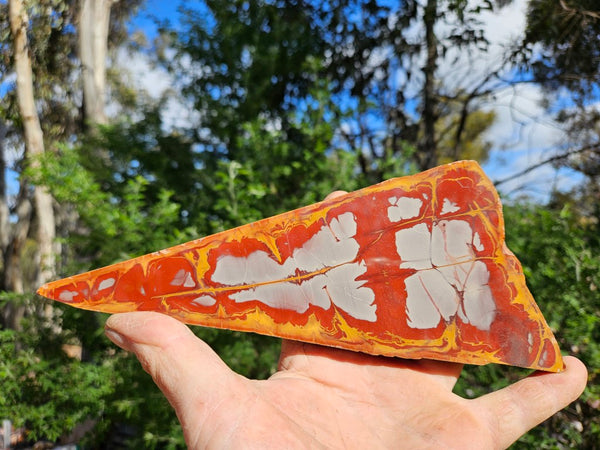 Polished Noreena Jasper slab. NJ473