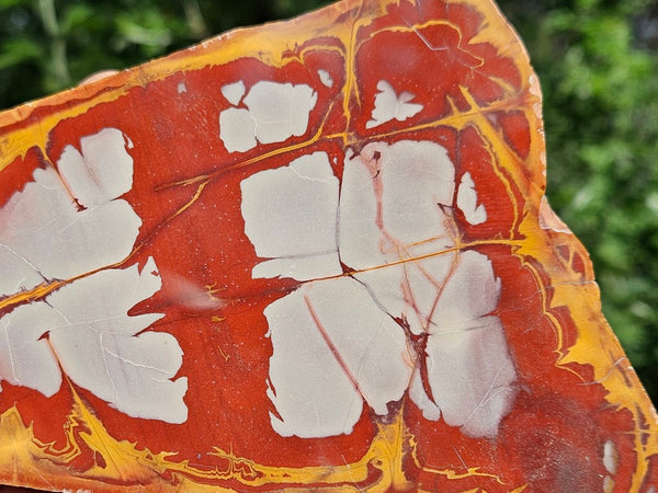 Polished Noreena Jasper slab. NJ473