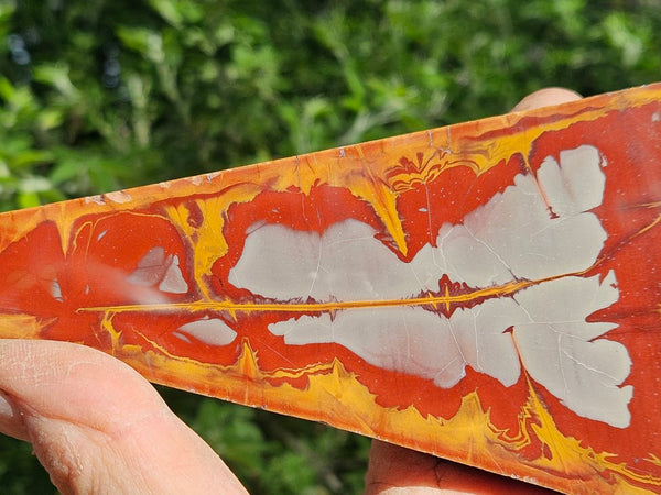 Polished Noreena Jasper slab. NJ473