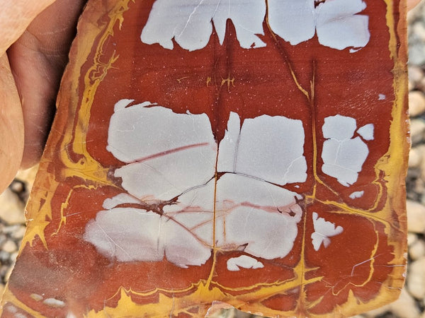 Polished Noreena Jasper slab. NJ473