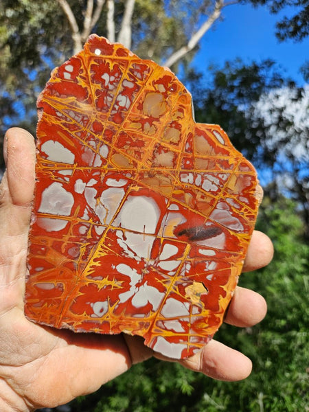 Polished Noreena Jasper slab. NJ475