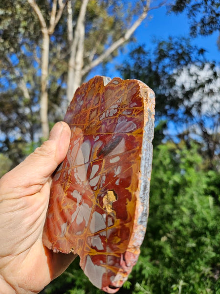 Polished Noreena Jasper slab. NJ475