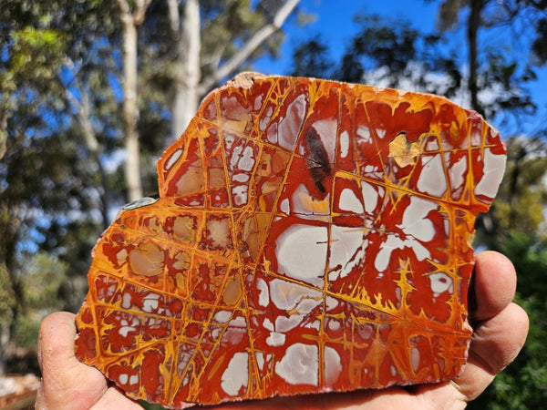 Polished Noreena Jasper slab. NJ475