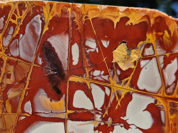 Polished Noreena Jasper slab. NJ475