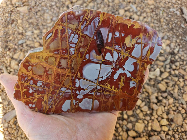 Polished Noreena Jasper slab. NJ475