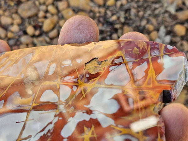 Polished Noreena Jasper slab. NJ475