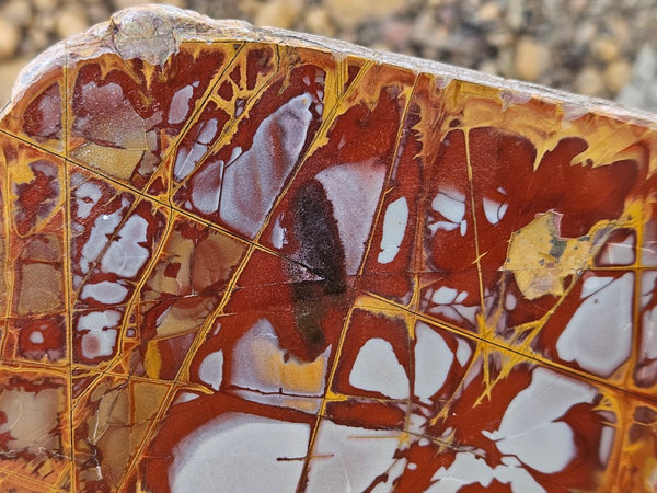 Polished Noreena Jasper slab. NJ475