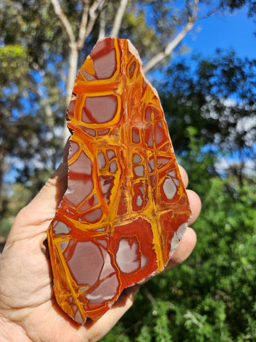 Polished Noreena Jasper. NJ476