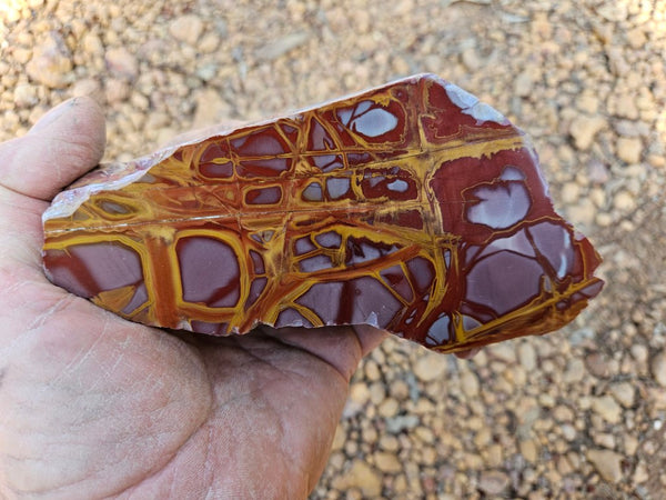 Polished Noreena Jasper. NJ476