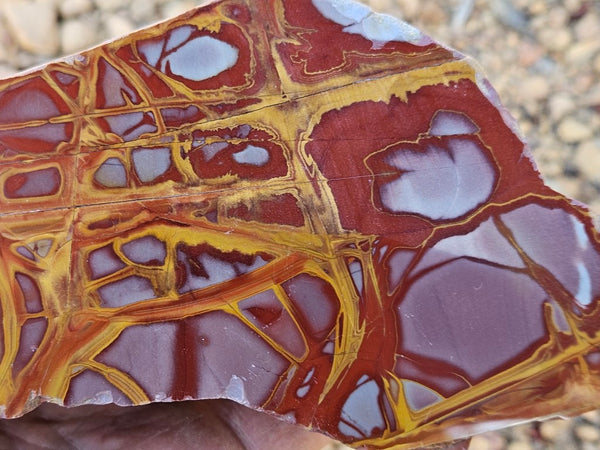 Polished Noreena Jasper. NJ476