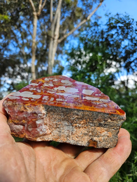 Polished Noreena Jasper. NJ477