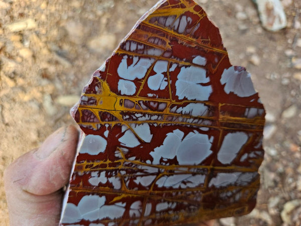 Polished Noreena Jasper. NJ477