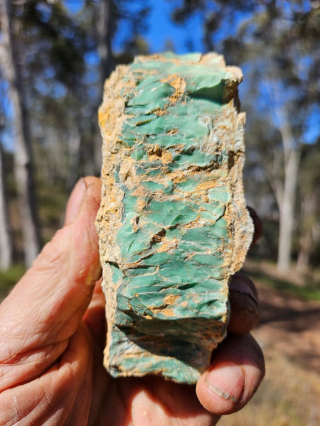 Variscite rough. VR565