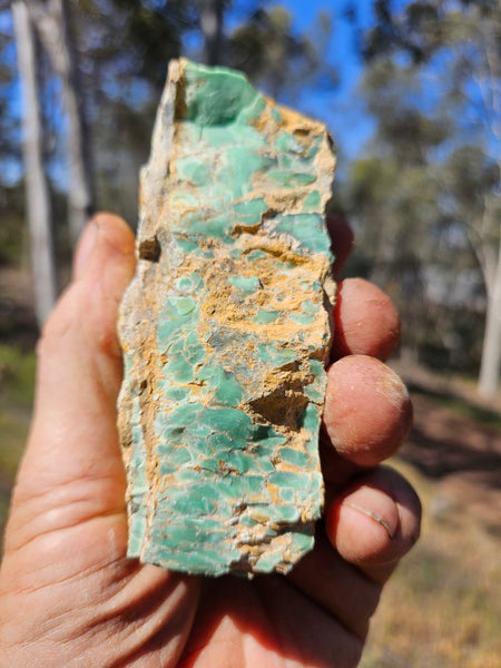 Variscite rough. VR565