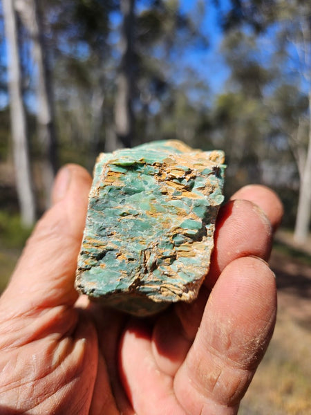 Variscite rough. VR565