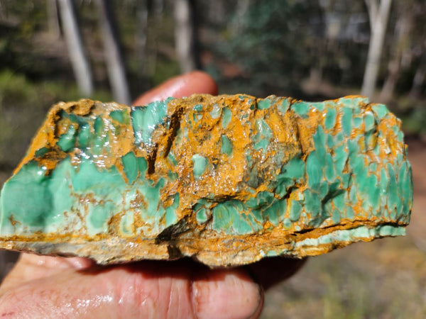 Variscite rough. VR565