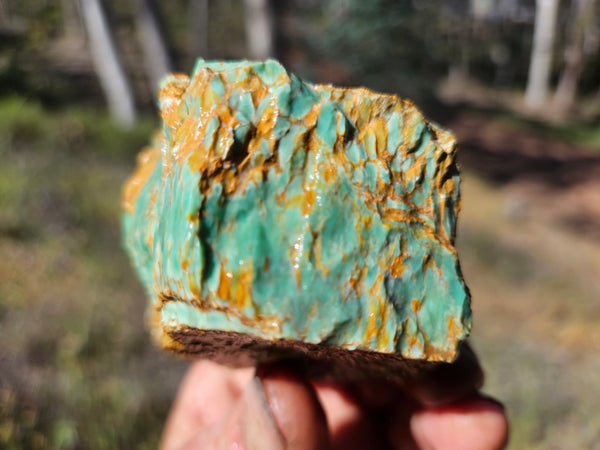 Variscite rough. VR565