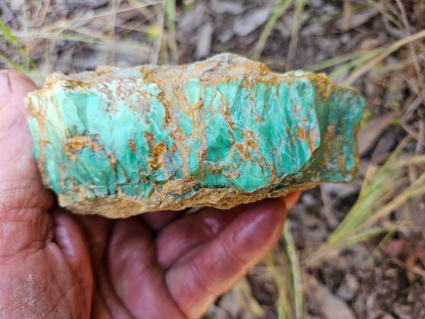 Variscite rough. VR565