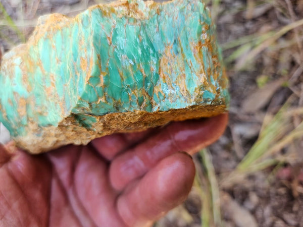 Variscite rough. VR565