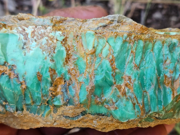 Variscite rough. VR565