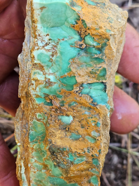 Variscite rough. VR565