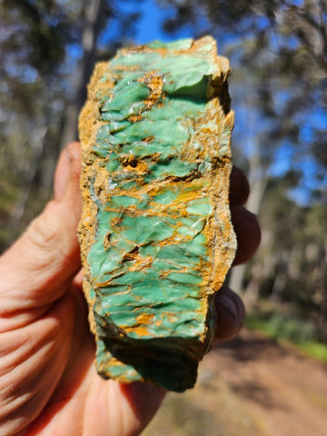 Variscite rough. VR565