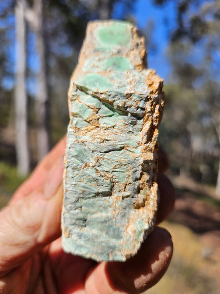 Variscite rough. VR567