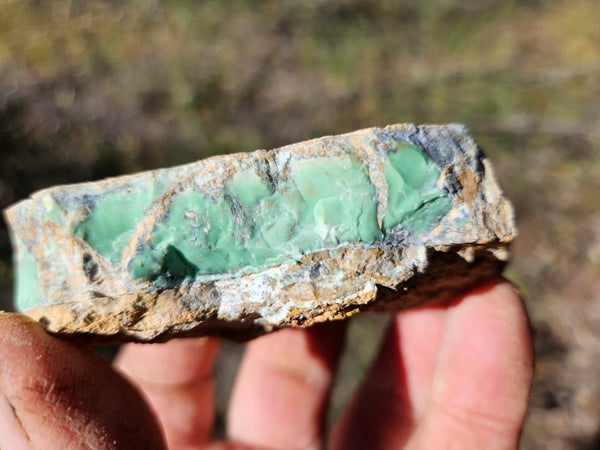 Variscite rough. VR567