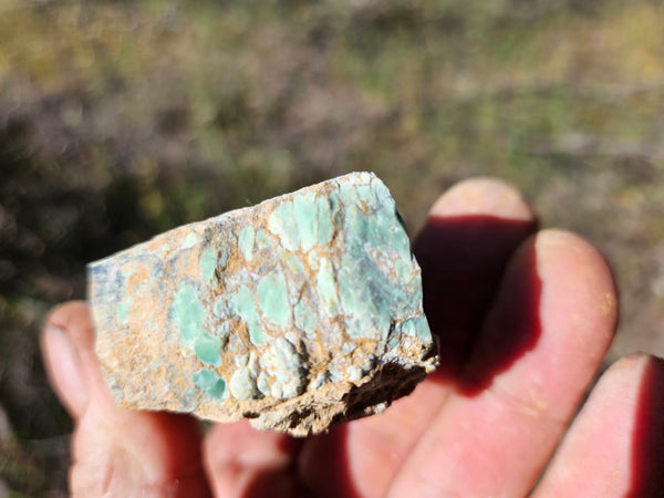 Variscite rough. VR567