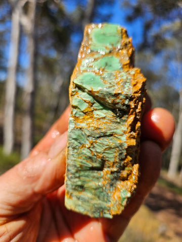 Variscite rough. VR567