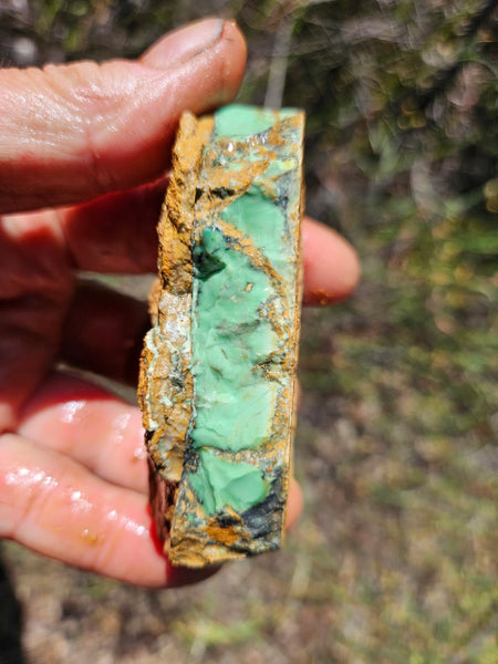 Variscite rough. VR567