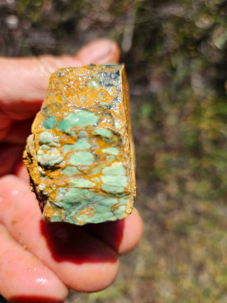 Variscite rough. VR567