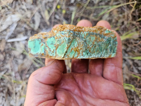 Variscite rough. VR567