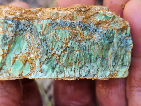 Variscite rough. VR567