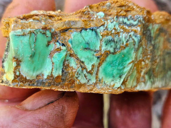 Variscite rough. VR567