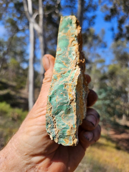 Variscite rough. VR568