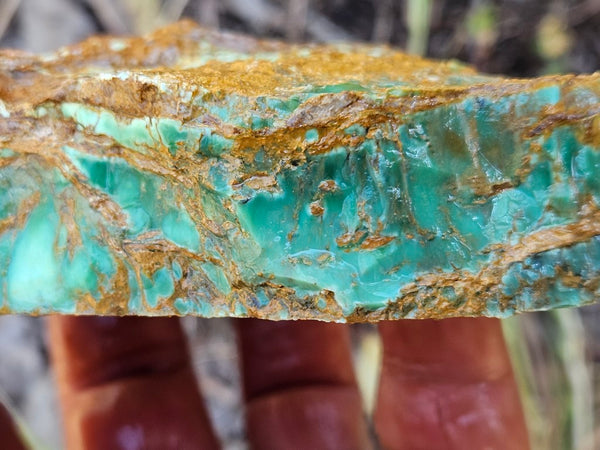 Variscite rough. VR568