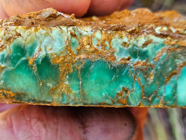 Variscite rough. VR568