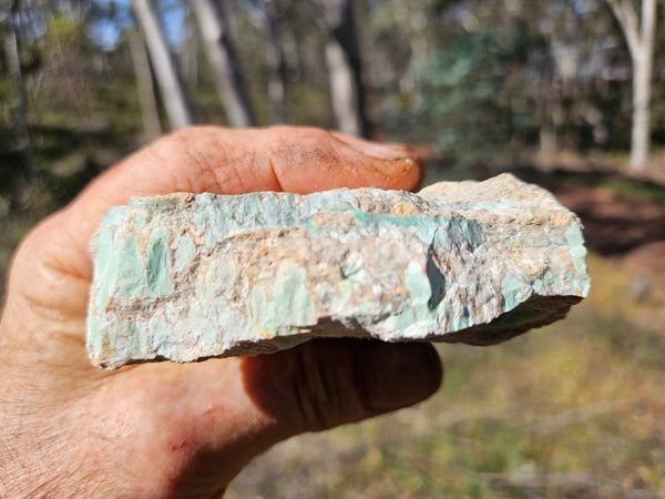 Variscite rough. VR569